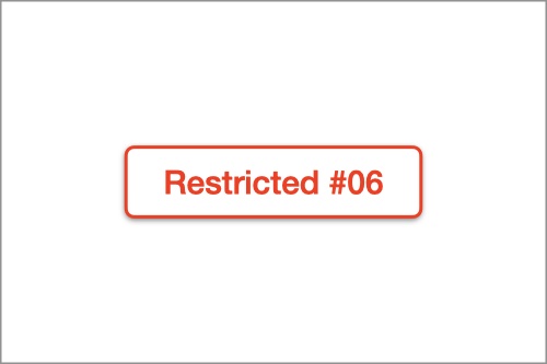 restricted project #06